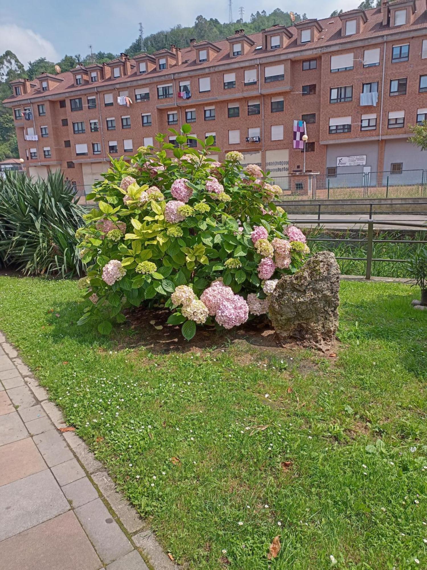 El Refugio De Noa Mieres (Asturias) Exterior foto